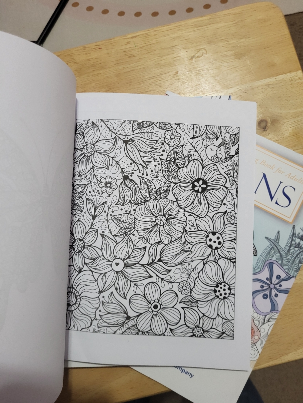 Adult Stress Relieving Coloring Book with Colored Pencils - Picture 6 of 9